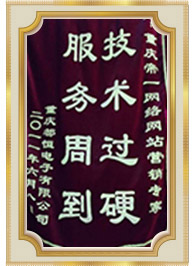 網(wǎng)站建設(shè)專(zhuān)家技術(shù)服務(wù)錦旗