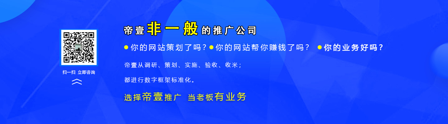 重慶帝一網(wǎng)絡營銷推廣公司簡介