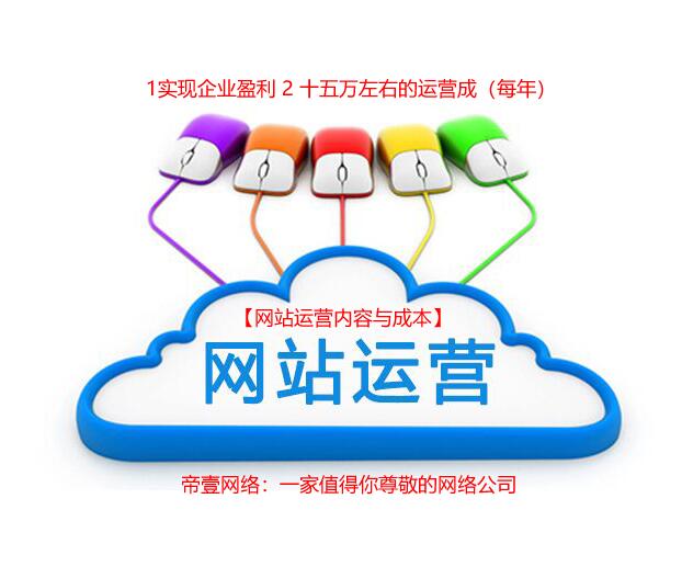 運(yùn)營(yíng)主旨與成本分析